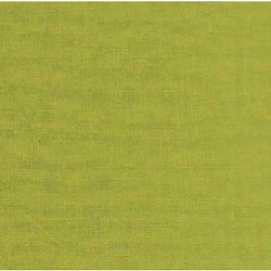 Yellow Green - Echino Solid - Canvas